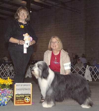 Lizzie, Best of Opposite Sex in Sweepstakes, Baltimore County Kennel Club Show, April 2011